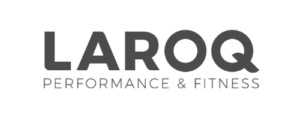Logo Laroq site web FIZFAB gris